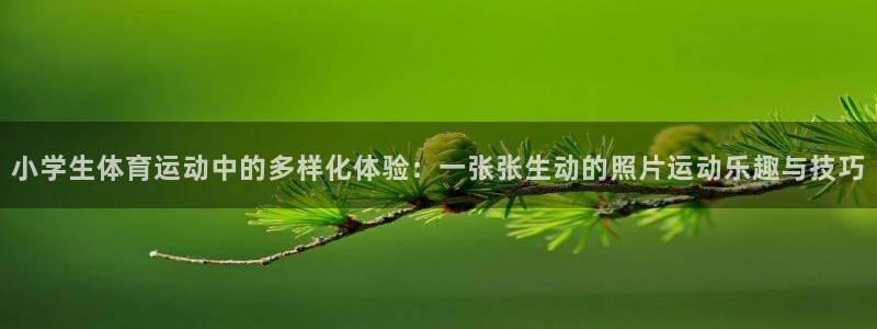 oety欧亿体育官网下载招商电话号码是多少啊:小学生体育运动