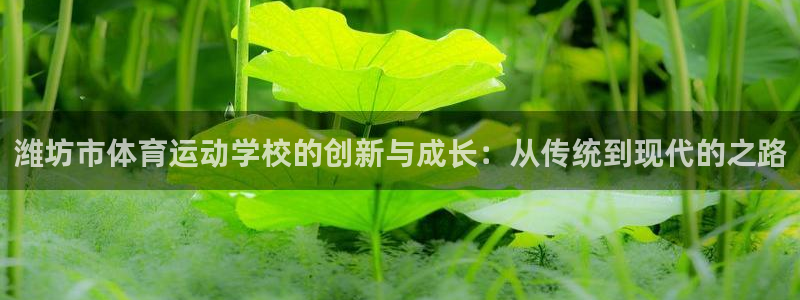 oety欧亿体育官网下载平台假的吗是真的吗:潍坊市体育运动学